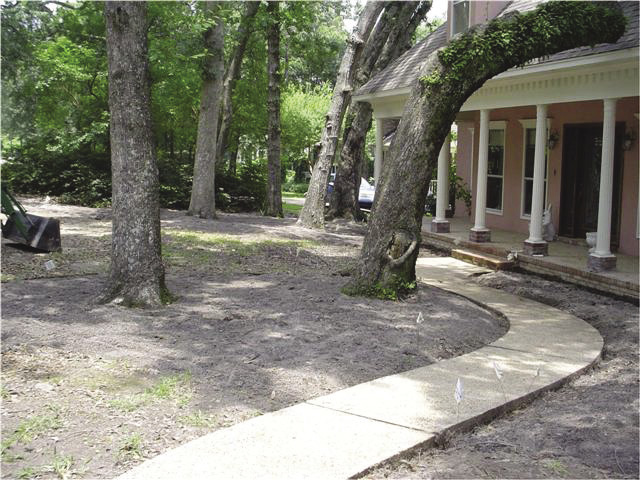 A curved concrete pathway leading to a house. The path is surrounded by brown dirt and several trees.